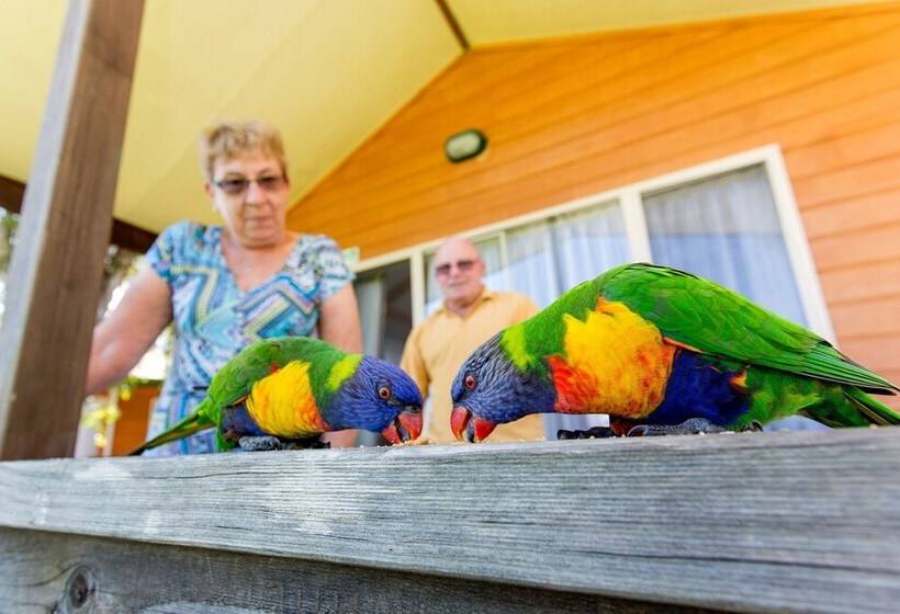 בית מלון כפרי Big4 Batemans Bay At Easts Riverside Holiday Park