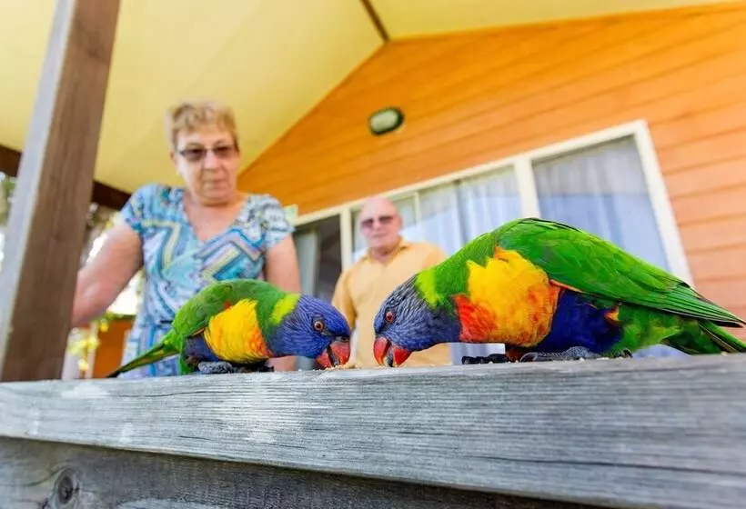 Отель Big4 Batemans Bay At Easts Riverside Holiday Park