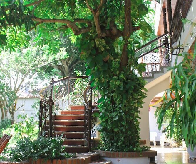 酒店 Casa Colonial