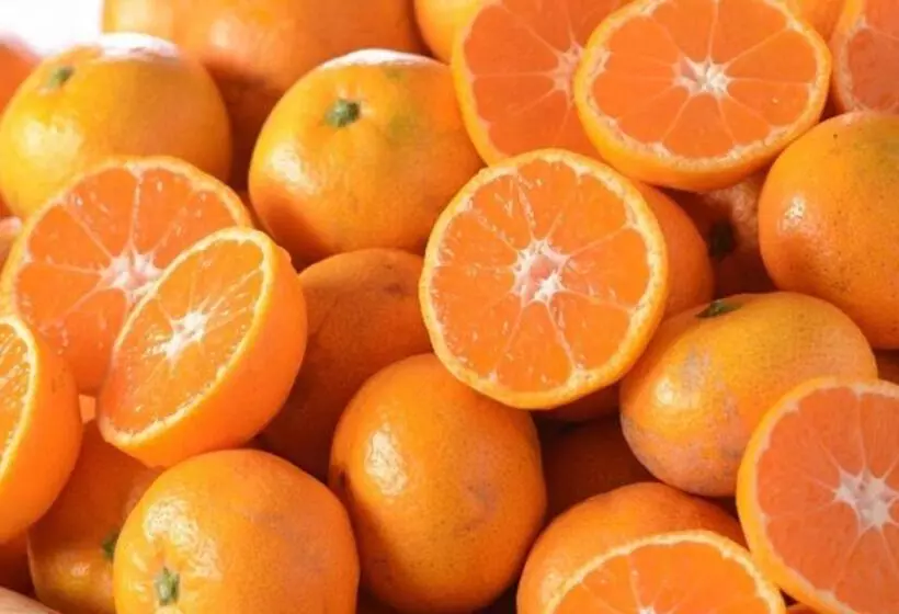 Hotel Kyukamura Setouchi-toyo