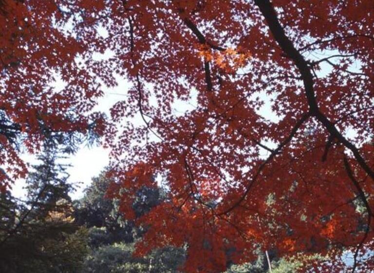 Hotel Kyukamura Setouchi-toyo