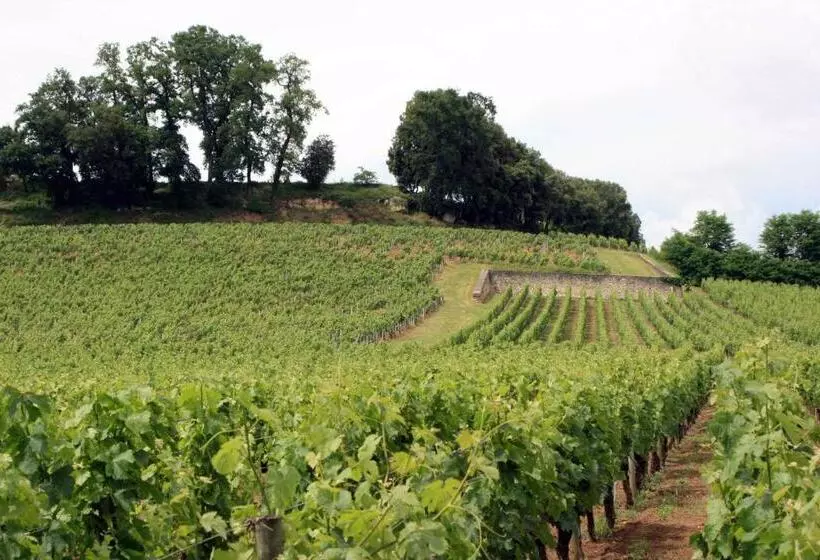 هتل La Residence Les Grands Vignobles