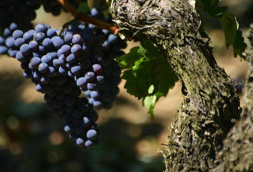 בית מלון כפרי La Residence Les Grands Vignobles