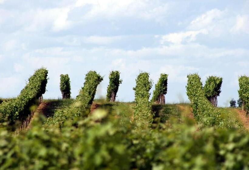 בית מלון כפרי La Residence Les Grands Vignobles