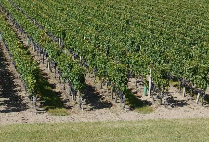 هتل La Residence Les Grands Vignobles