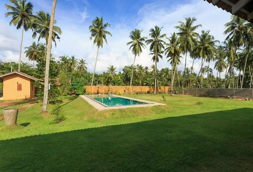 ホテル Ocean Ripples Resort