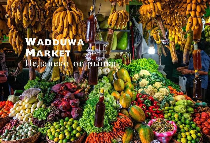 호텔 Ocean Ripples Resort