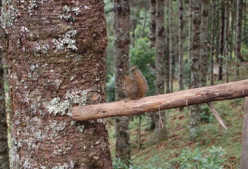 فندق Pousada ágape