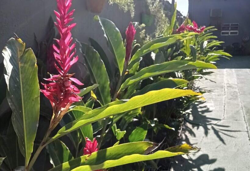 Отель Recanto Da Nina