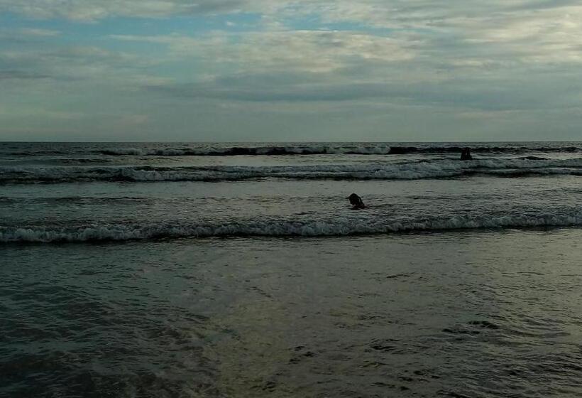 בית מלון כפרי Sonhos Meu Pousada