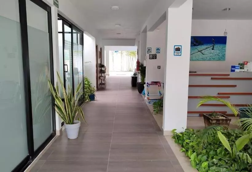 فندق Vela S Condos Ocean Front