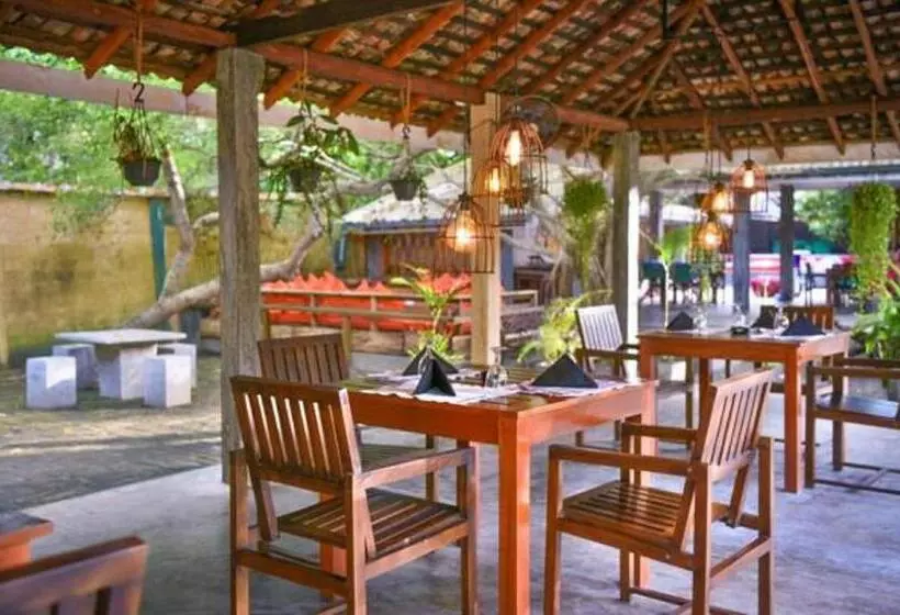 בית מלון כפרי Vibration