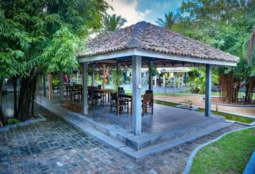 בית מלון כפרי Vibration