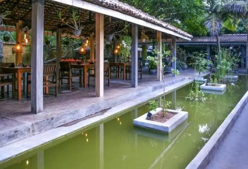 בית מלון כפרי Vibration