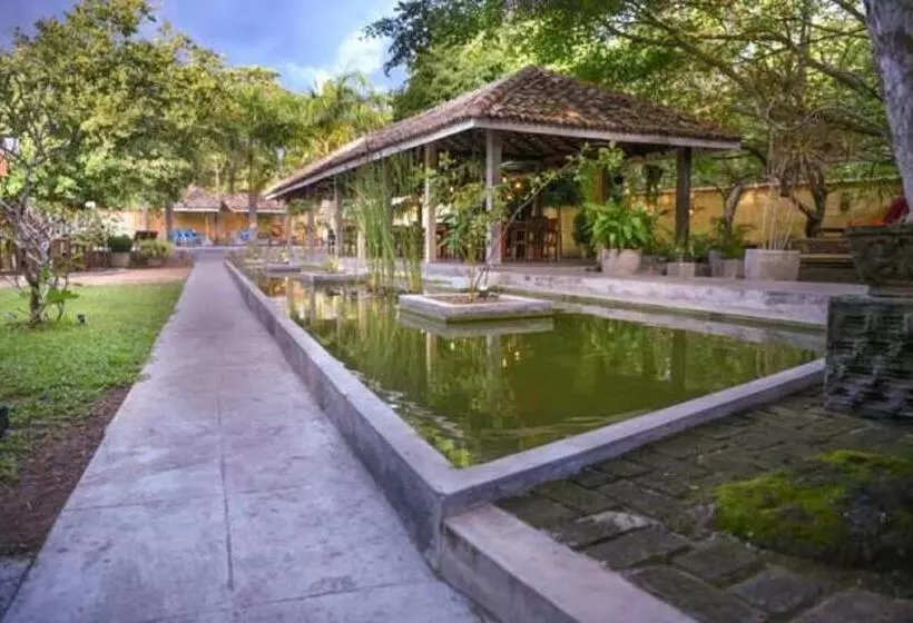 בית מלון כפרי Vibration