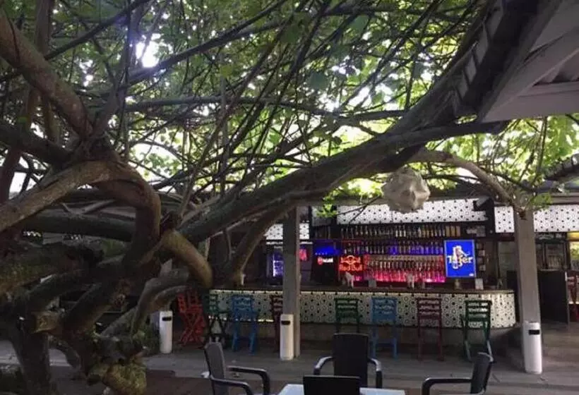 בית מלון כפרי Vibration