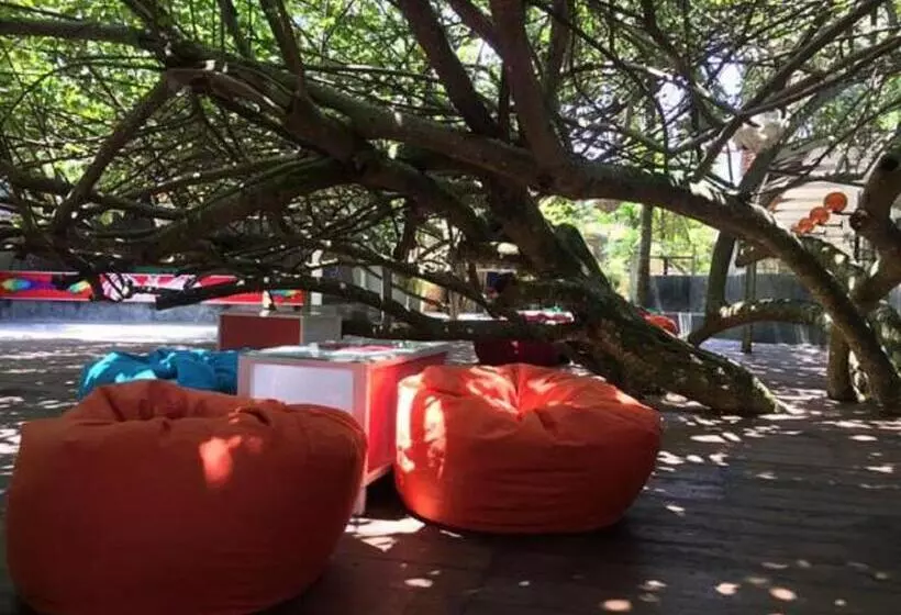 בית מלון כפרי Vibration