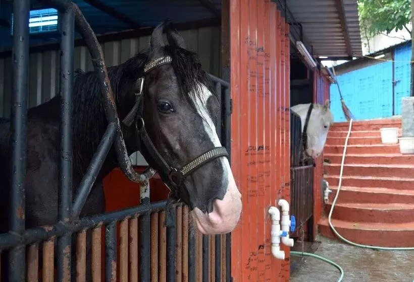 ホテル Zaras Resort Khandala