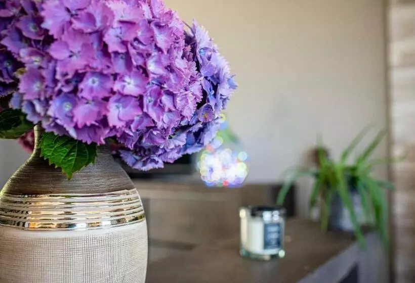 膳宿费 Domaine Buhez Nevez