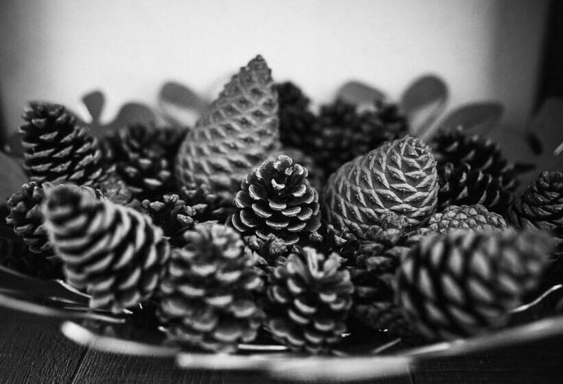 بنسيون Domaine Buhez Nevez