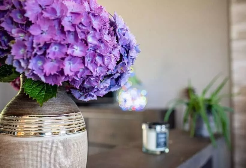 膳宿费 Domaine Buhez Nevez