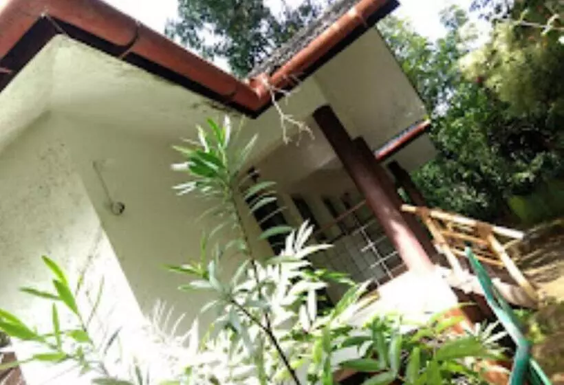 Planet Green Plantation Resort Kerala