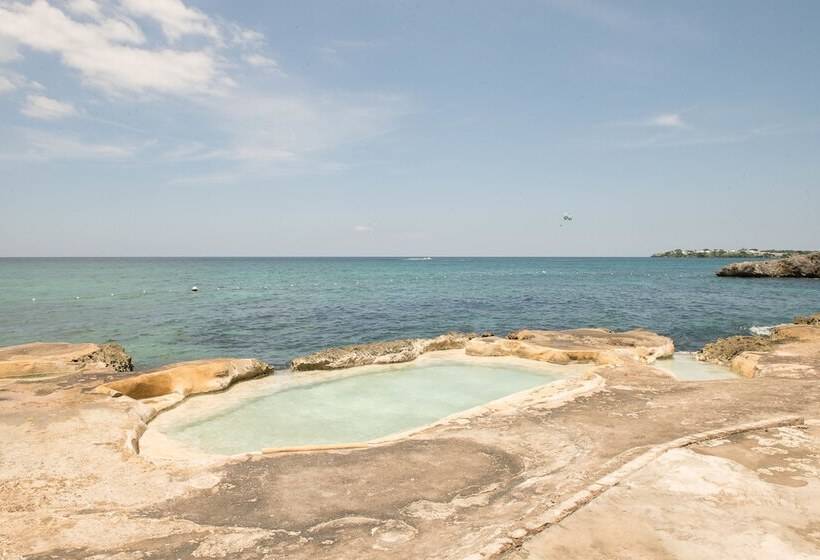 Stingray Beach Studio