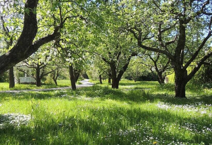 Ytterjärna Hotell & Konferens