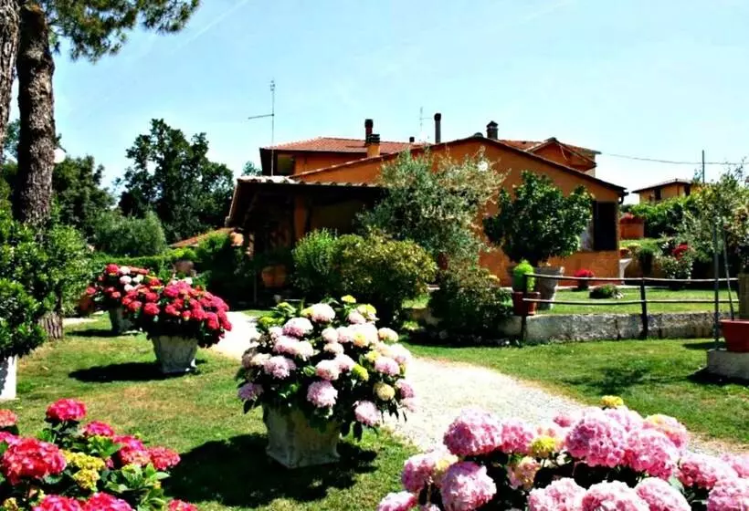 ホテル Agriturismo Menchetti