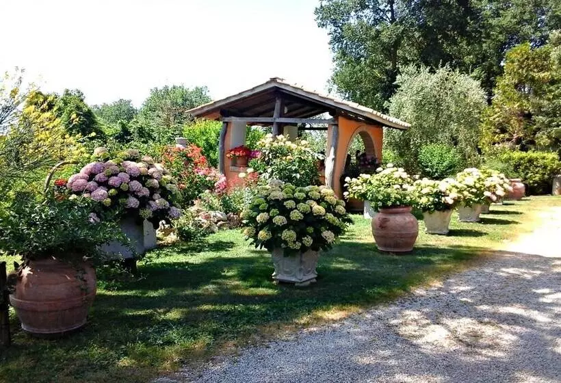 ホテル Agriturismo Menchetti