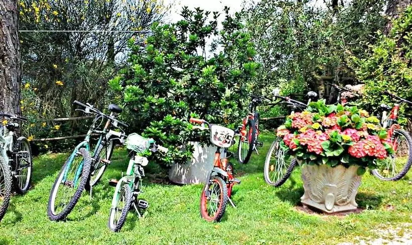 ホテル Agriturismo Menchetti