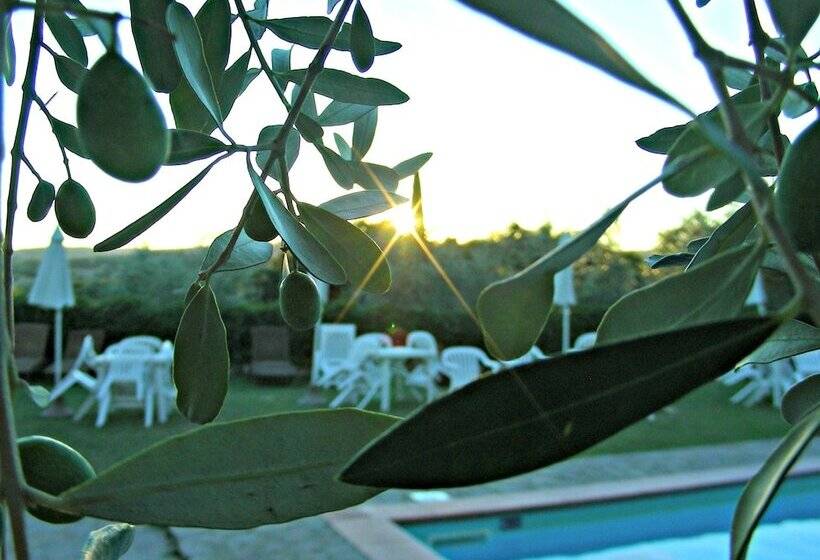 酒店 Agriturismo Menchetti