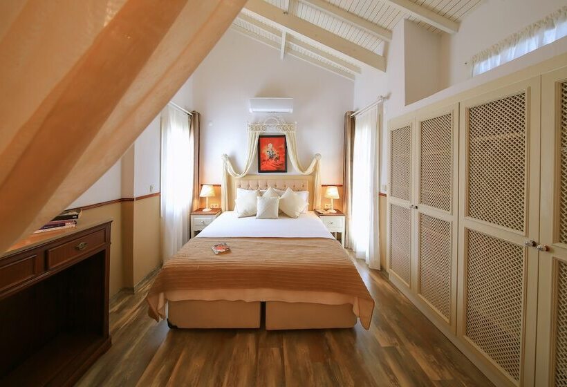 בית מלון כפרי Palas Ilıca