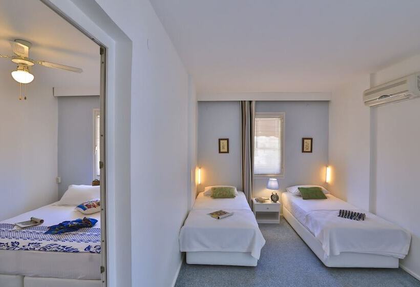 בית מלון כפרי Palas Ilıca