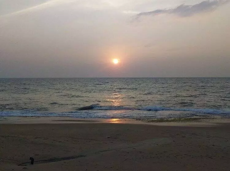 호텔 The Beach Boutique