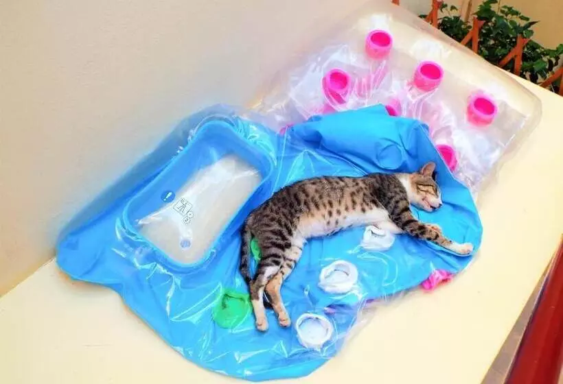 Argo Maisonettes & Suites