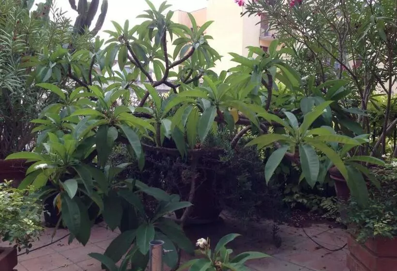 تختخواب و صبحانه L Orangerie Di Cartia Giovanni