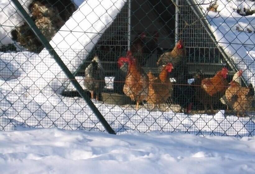 فندق Agriturismo Podere Ficareto