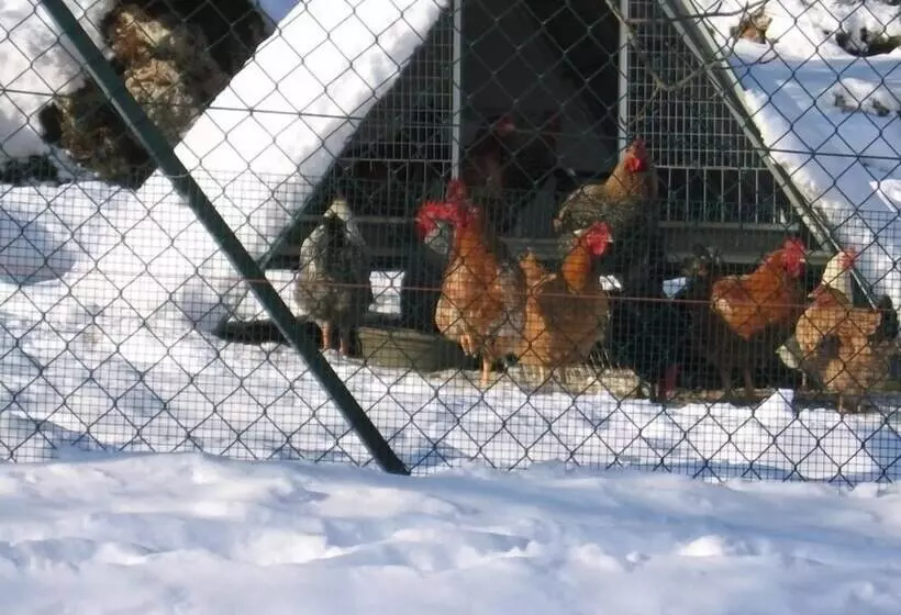 酒店 Agriturismo Podere Ficareto