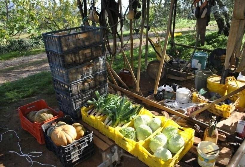 فندق Agriturismo Podere Ficareto