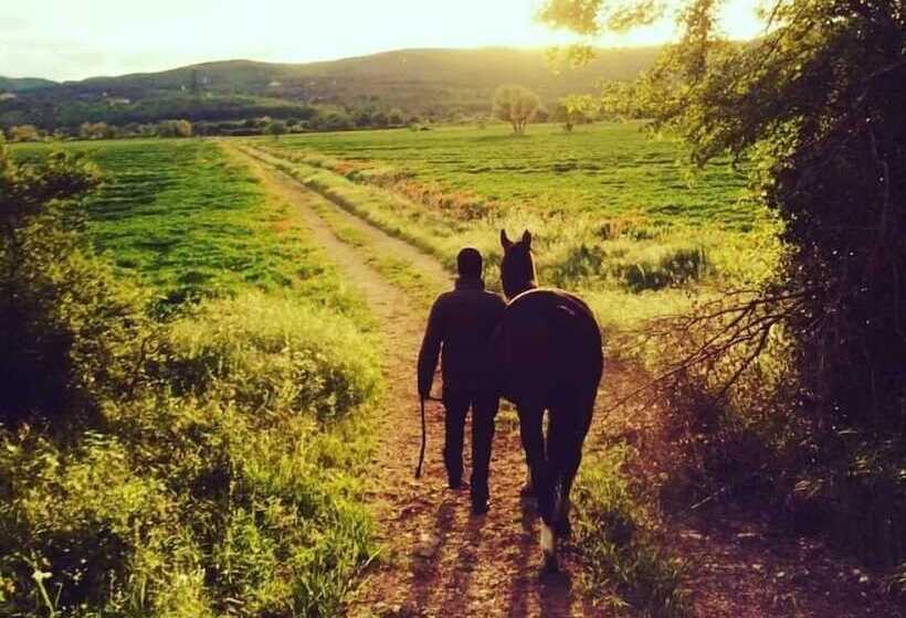 فندق Agriturismo Podere Ficareto