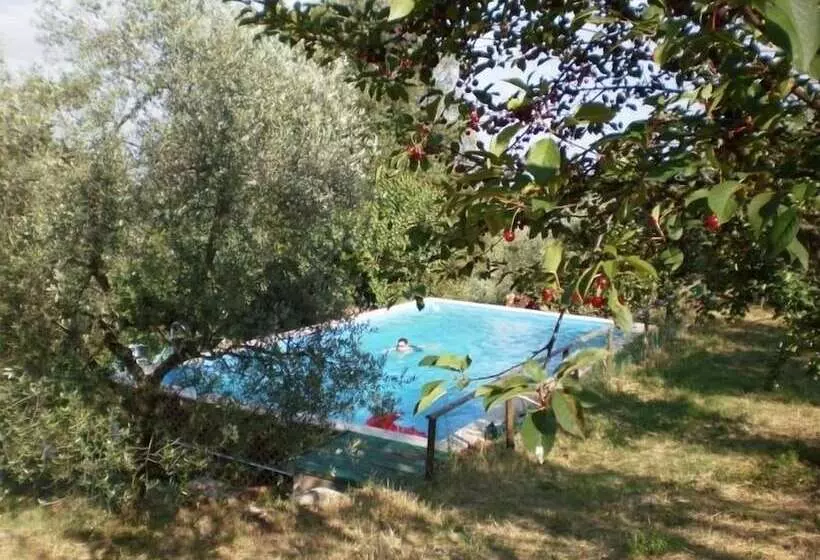 酒店 Agriturismo Podere Ficareto