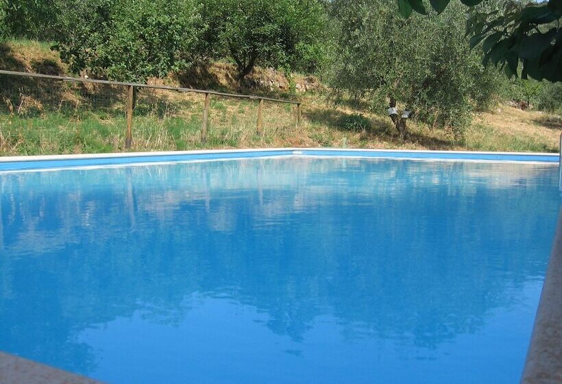 فندق Agriturismo Podere Ficareto