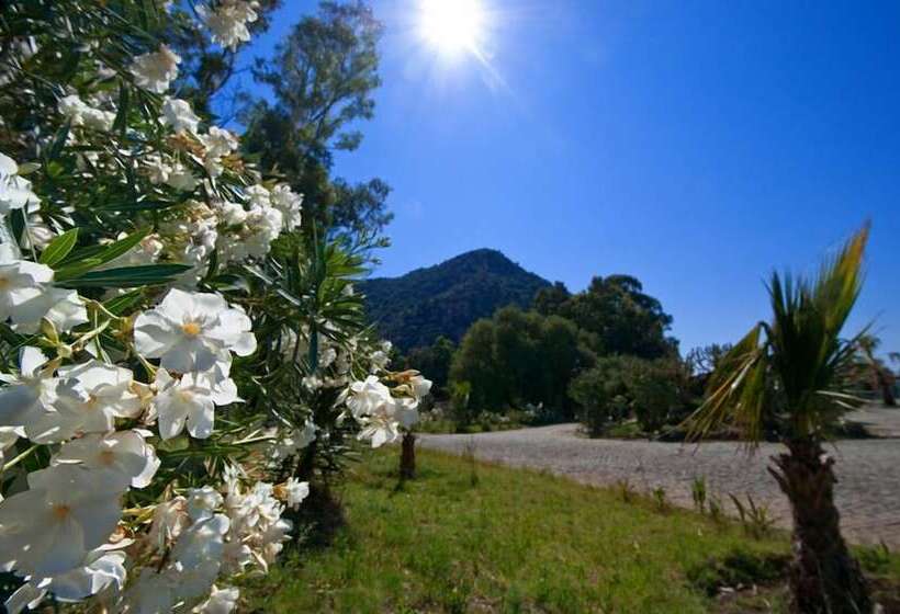 ホテル Aspat Termera Resort