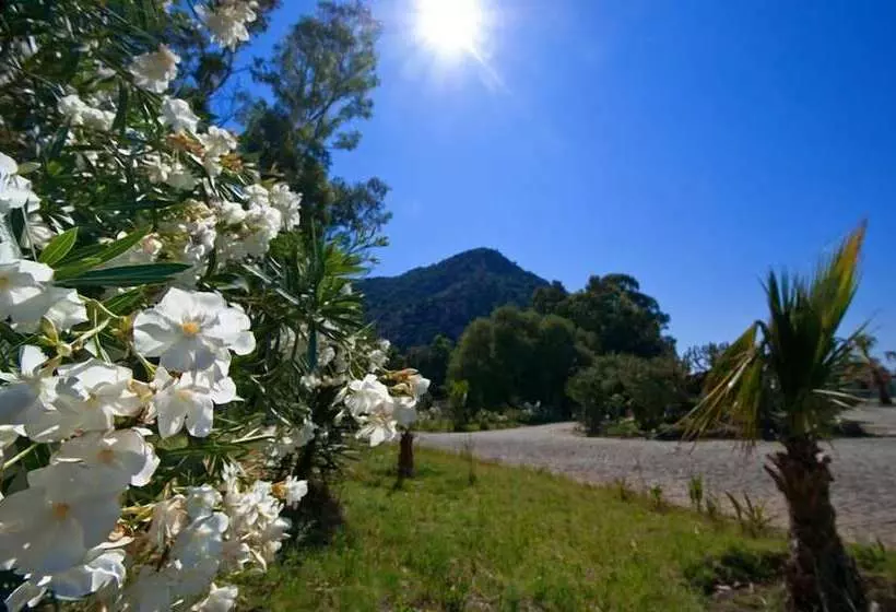 ホテル Aspat Termera Resort