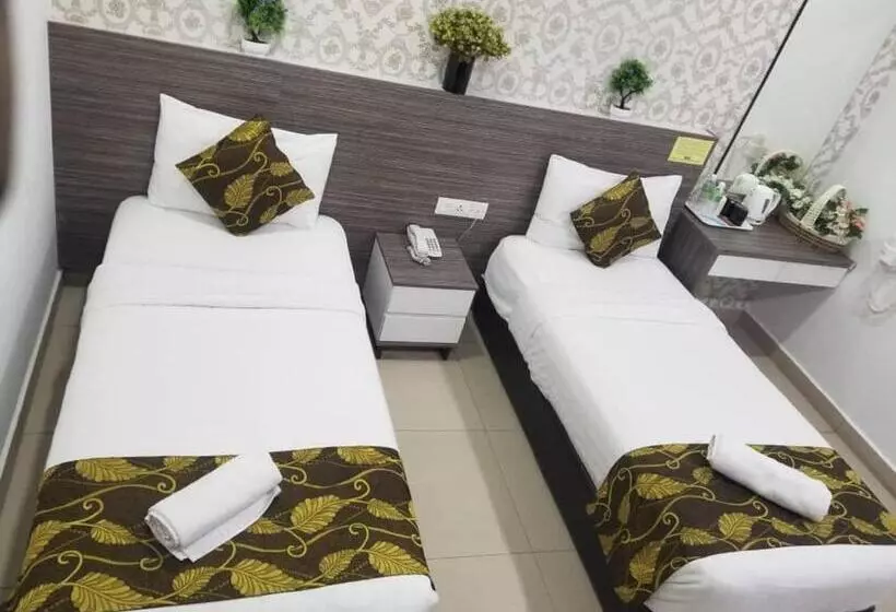 בית מלון כפרי D Metro