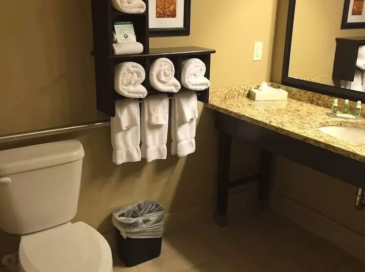 Grandstay Hotel & Suites Mount Horeb   Madison