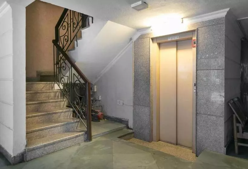 호텔 Tree Of Life Bed & Breakfast