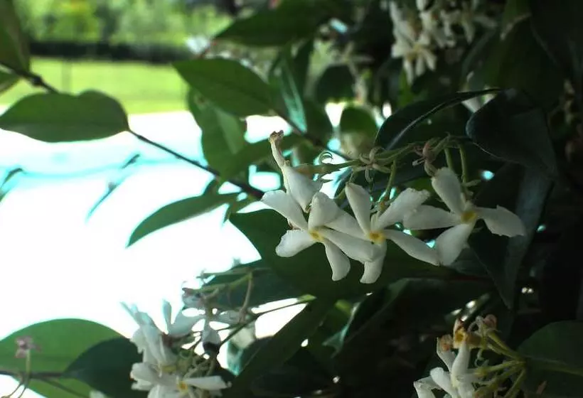 La Locanda Di Adele Il Giardinetto B&b