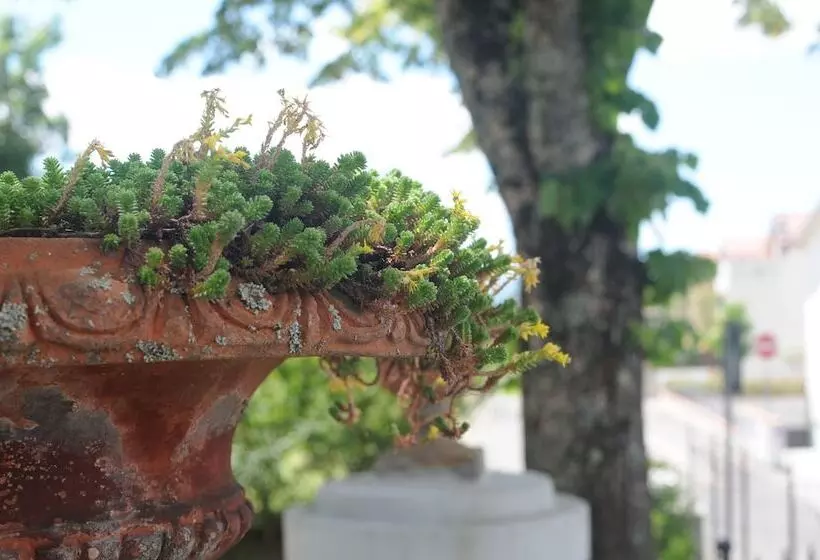 La Locanda Di Adele Il Giardinetto B&b